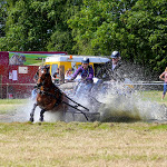 IMG_2144.jpg