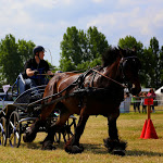 IMG_2195.jpg