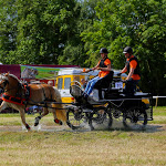 IMG_2224.jpg