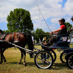 IMG_2269.jpg