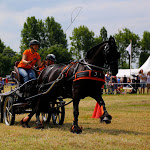 IMG_2274.jpg