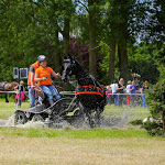 IMG_2278.jpg