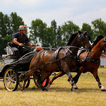 IMG_2311.jpg