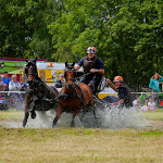 IMG_2314.jpg