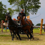 IMG_2330.jpg