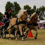 IMG_2333.jpg