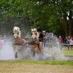 IMG_2357.jpg