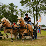 IMG_2367.jpg