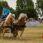 IMG_2377.jpg