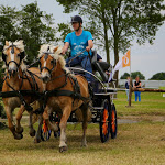IMG_2395.jpg