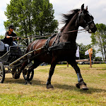IMG_2460.jpg