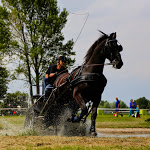 IMG_2465.jpg