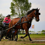 IMG_2483.jpg