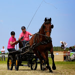 IMG_2486.jpg