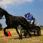 IMG_2512.jpg