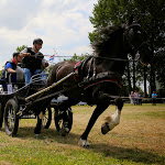 IMG_2560.jpg