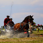 IMG_2574.jpg