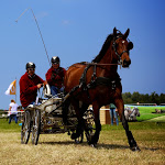 IMG_2582.jpg