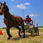 IMG_2584.jpg