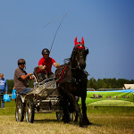 IMG_2600.jpg