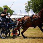 IMG_2607.jpg