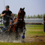 IMG_2627.jpg