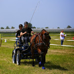IMG_2632.jpg