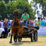 IMG_2641.jpg