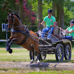 IMG_2644.jpg