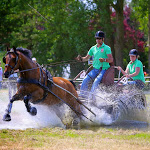 IMG_2647.jpg