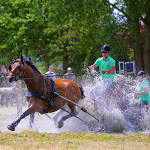 IMG_2648.jpg