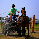IMG_2664.jpg