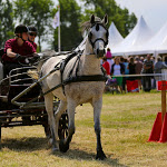 IMG_2667.jpg