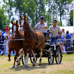 IMG_2681.jpg