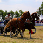 IMG_2684.jpg