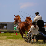 IMG_2685.jpg