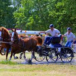 IMG_2689.jpg
