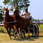 IMG_2697.jpg