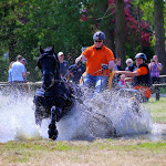IMG_2706.jpg