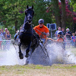 IMG_2708.jpg