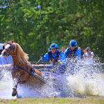 IMG_2733.jpg