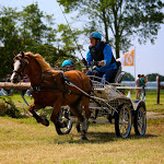 IMG_2748.jpg