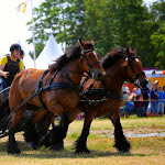 IMG_2761.jpg