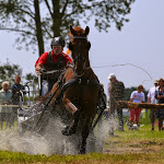 IMG_2786.jpg