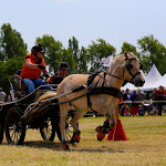 IMG_2793.jpg