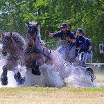 IMG_2816.jpg