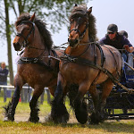 IMG_2829.jpg