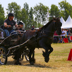 IMG_2835.jpg