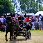 IMG_2850.jpg