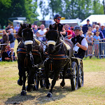 IMG_2877.jpg